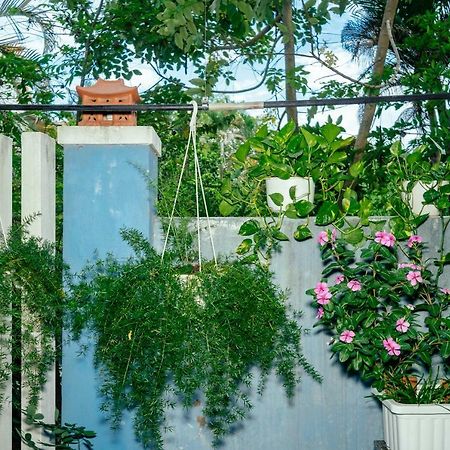Green Bud Hostel And Homestay Hoi An Eksteriør bilde