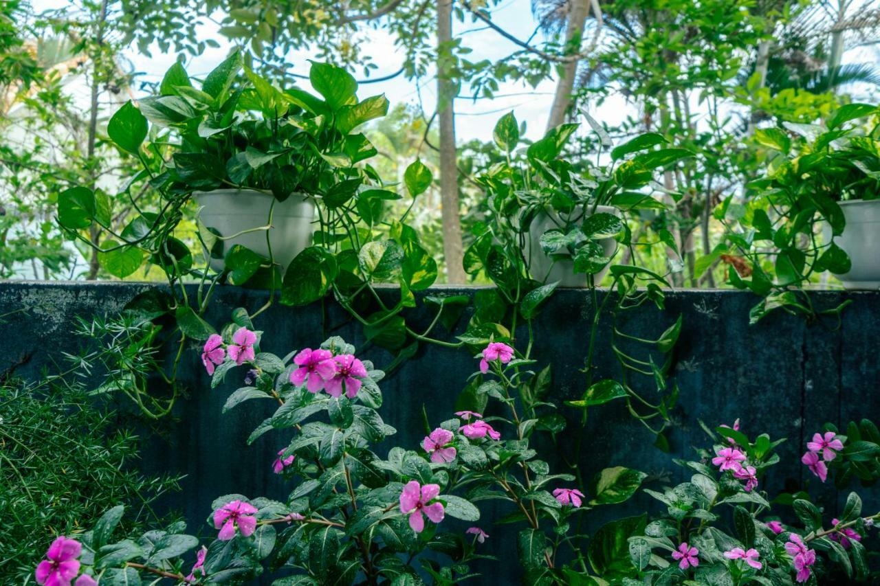 Green Bud Hostel And Homestay Hoi An Eksteriør bilde